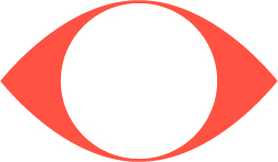 brain eye
