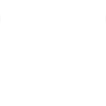 brain cup
