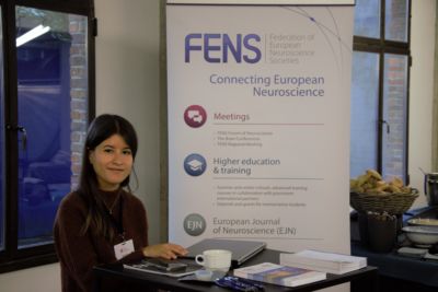 FENS-400x267