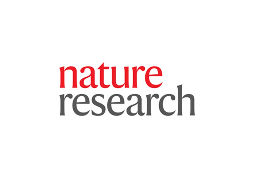 nature research logo